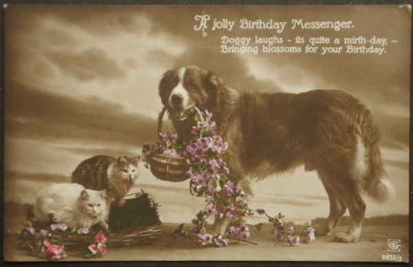 イギリス アンティークポストカード セントバーナード犬と2匹の猫